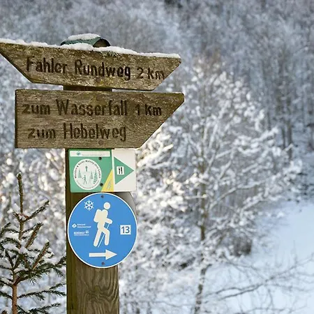 Haus Wiesengrund-fahl - 4 Todtnau