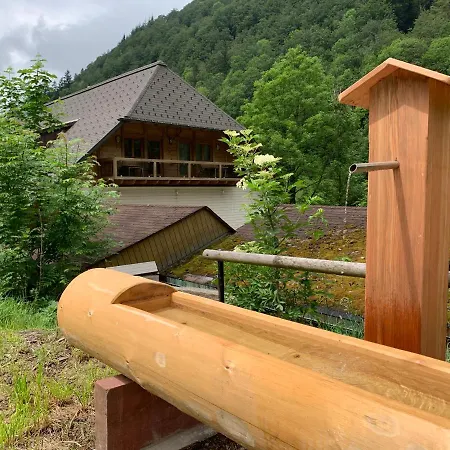 Haus Wiesengrund-fahl - 4 Appartement Todtnau